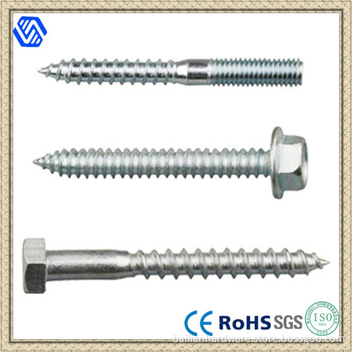 Hex Head/Round Head /Countersunk Head Screw for Sale